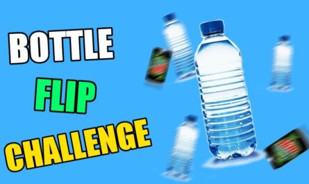 Bottle Flip Challenge