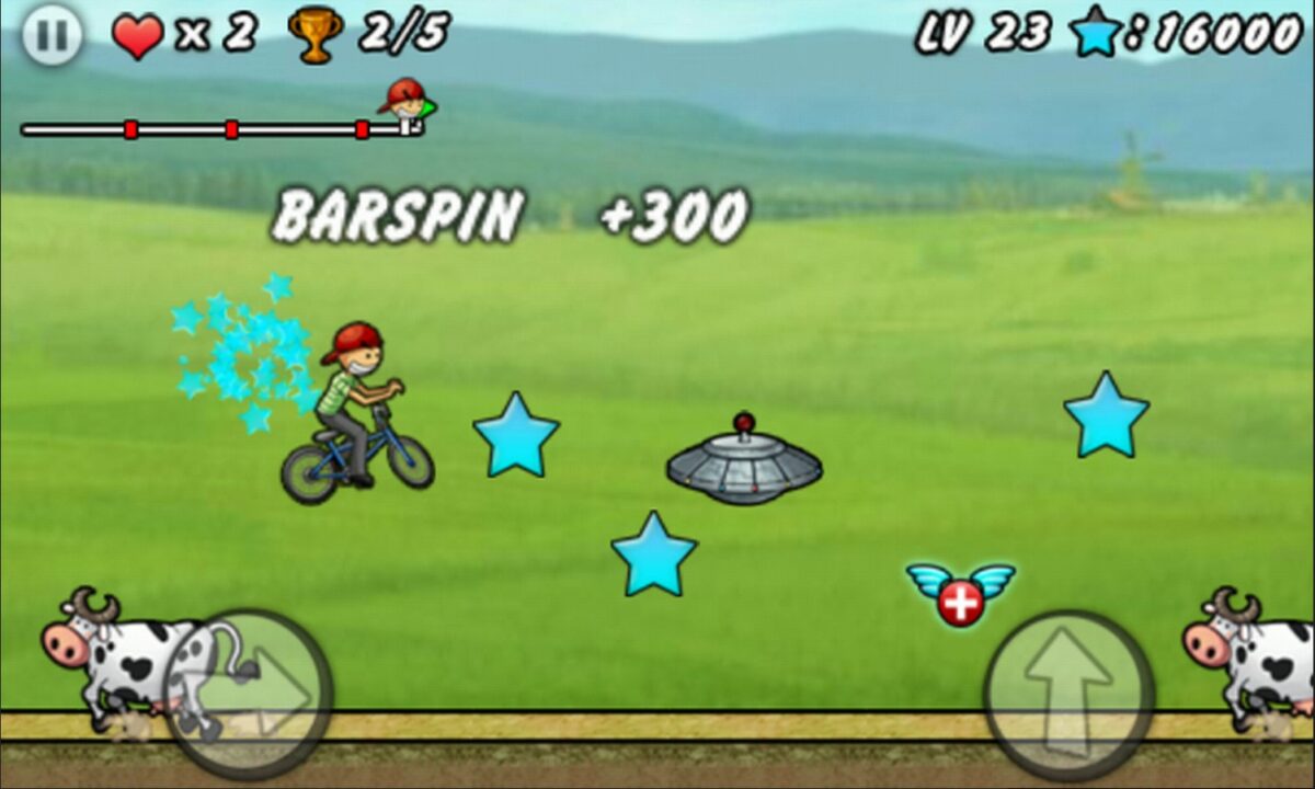 bmx boy
