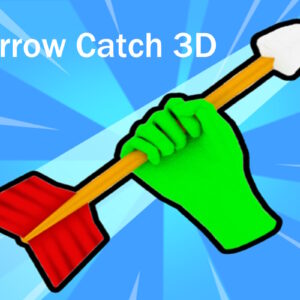 Arrow Catch 3D