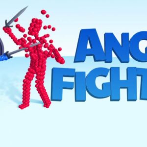 Angle Fight 3D