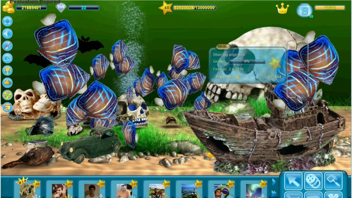 aqualife 3d мод много
